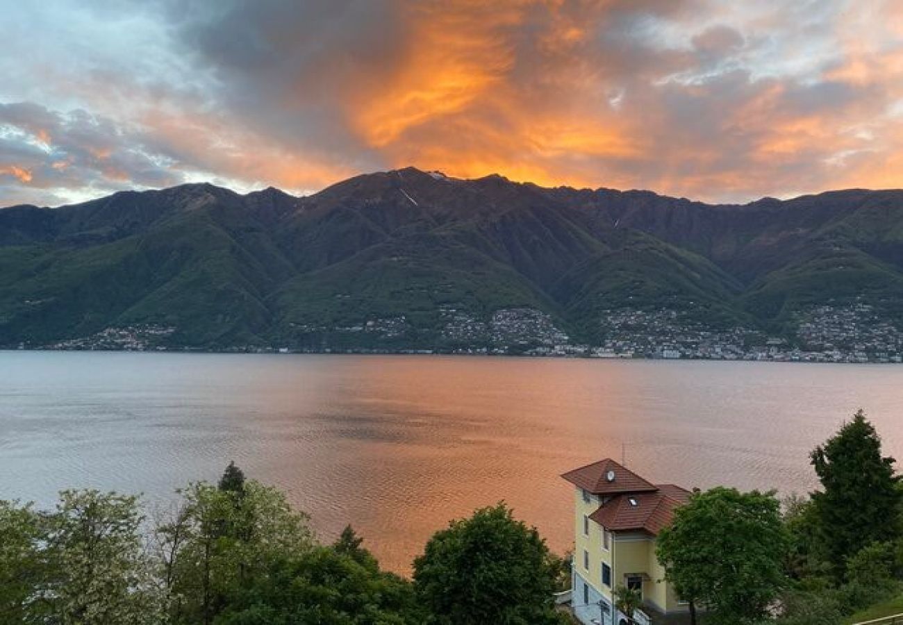 Appartamento a Pino sulla Sponda del Lago Maggiore - Dolce apartment with wonderful lake view in Pino