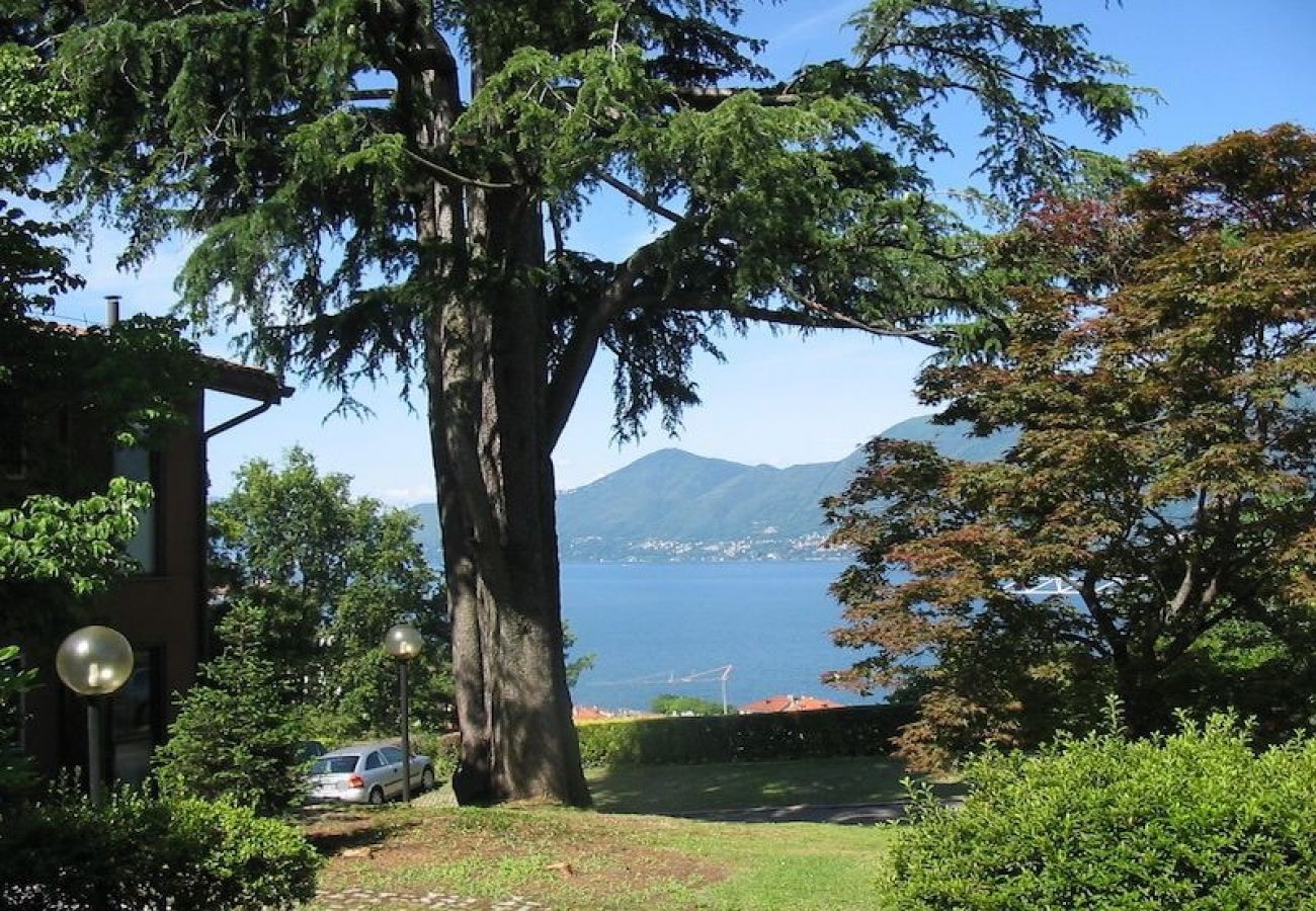 Wohnung in Luino - Cordelia 3 with lake view and pool