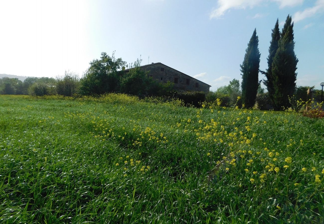 Wohnung in Guardistallo - Maremma 3 apartment in Tuscany with big garden and