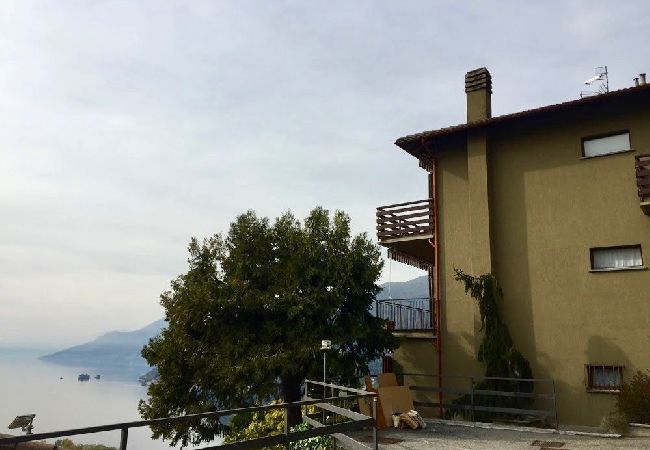 Apartment in Maccagno con Pino e Veddasca - Pandora 1 lake view apt. in residence with pool